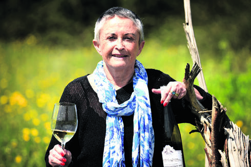"כרמים, אזורי גידול וסוגי יין זה אני. כרמי לבנשטיין | צילום: קובי קואנקס