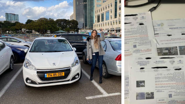 ויקי צ'רניאק, הרכב והדוחות