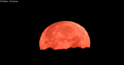 ירח אדום בשמי האזור (צילום: דותן סימון)